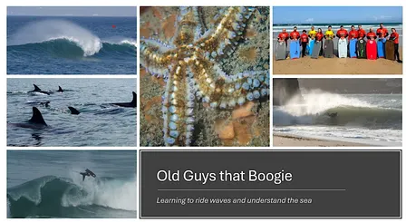 Free Back to Boogie - Bodyboarding  Session