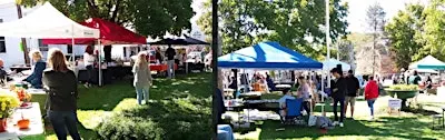 Upton Heritage Day!