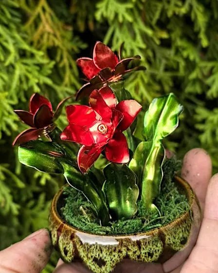 Copper class - Christmas cactus at The Vineyard at Hershey