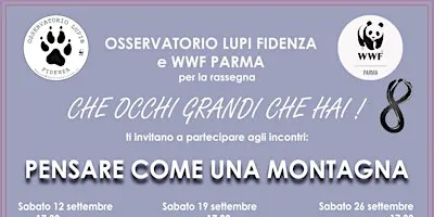 Che occhi grandi che hai - "Pensare come una montagna"