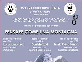 Che occhi grandi che hai - "Pensare come una montagna"