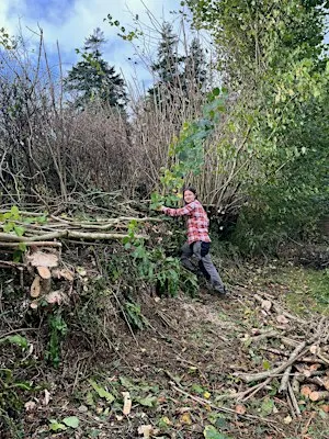 Autumn Hedge Tour - The Origins, Ecology and Management of Devon's Hedges