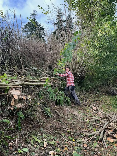 Autumn Hedge Tour - The Origins, Ecology and Management of Devon's Hedges
