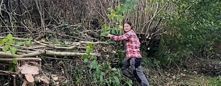 Autumn Hedge Tour - The Origins, Ecology and Management of Devon's Hedges