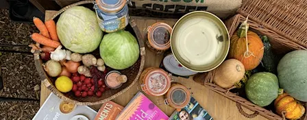 Fermenting Through the Seasons