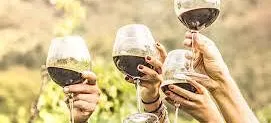 Italian Harvest Wine Tasting: A Sommelier Showdown