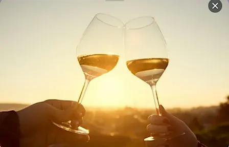 Golden Hour Wine Tasting