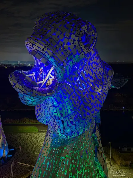 Illuminated Kelpies Experience with The Polar Academy