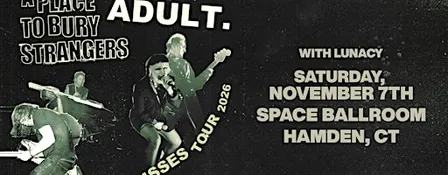 ADULT. / A Place To Bury Strangers