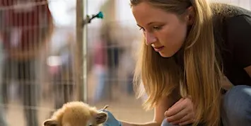 Charity Bingo - Perth Animal Rescue
