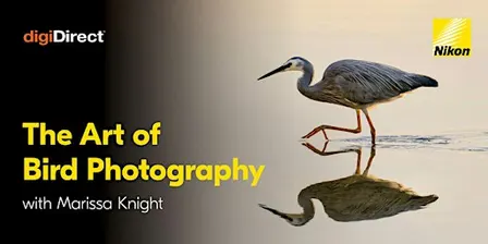 The Art of Bird Photography with Marissa Knight