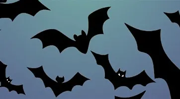 Kinkell Byre Bat Walk