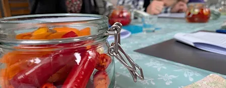 Wild Ferments Masterclass