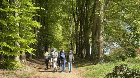 Social & Step Achterhoek (Doetinchem) met de Walk Club