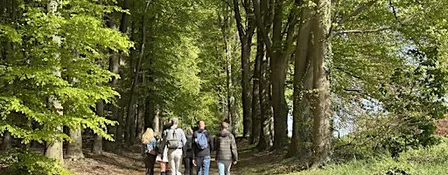 Social & Step Achterhoek (Zutphen/Lochem) met de Walk Club