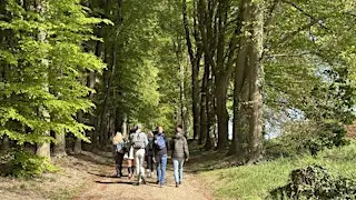 Social & Step Achterhoek (Zutphen/Lochem) met de Walk Club