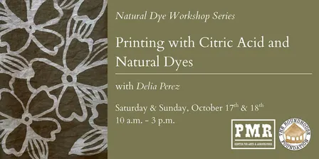 Natural Dye Workshop Series: Printing with Citric Acid & Natural Dyes