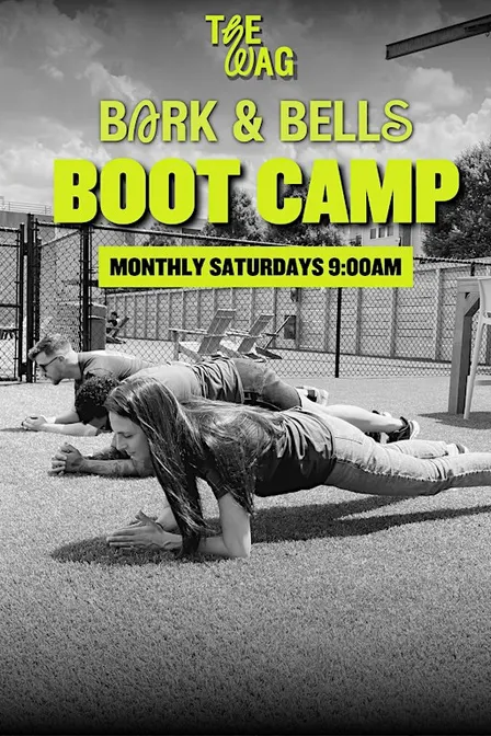 OCTOBER Bark & Bells Boot Camp  50 mins w/ your pup
