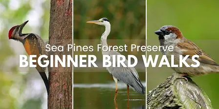September Explore Your Forest Preserve