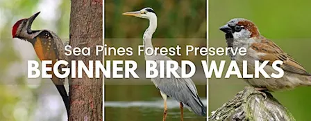 September Explore Your Forest Preserve