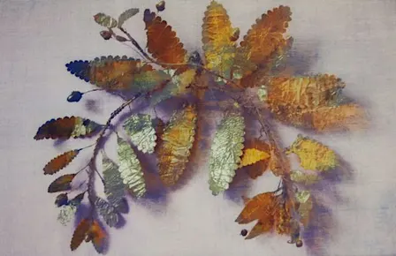 Opening Night Lecture: James Welling: Cento