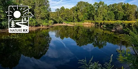 Nature Rx | Water Stories Told Through Mindful Photography