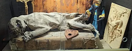 Ancient Ram Ghost Hunt Half Price Haunted Investigation