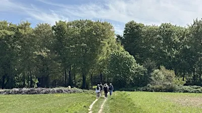 Social & Stroll Veluwe (Ede/Bennekom) met de Walk Club