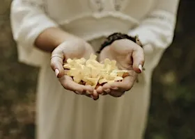 Forest Bathing: Harmonizing with the Seasons