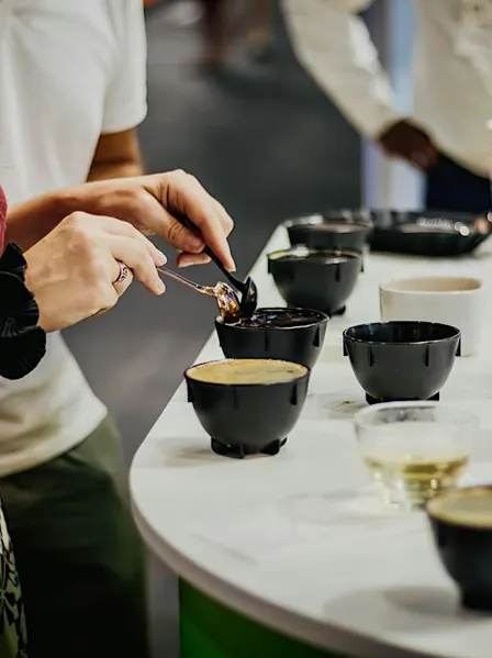 Exploration sensorielle et dégustation de café