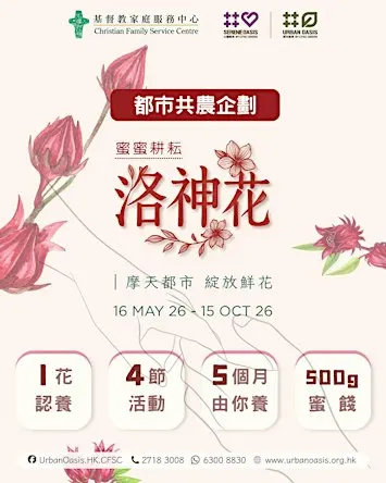 都市洛神花《蜜蜜耕耘》共農企劃 2026