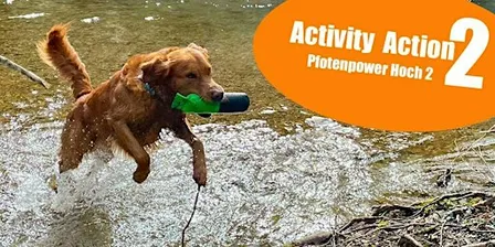 Activity-Action II