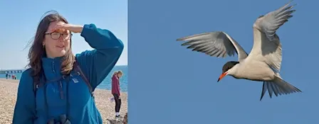 Beginners Birding with Mya Bambrick, Rye Harbour Nature Reserve (420337035)
