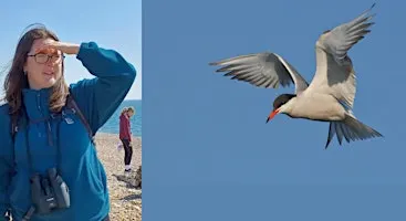 Beginners Birding with Mya Bambrick, Rye Harbour Nature Reserve (420337035)