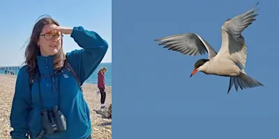 Beginners Birding with Mya Bambrick, Rye Harbour Nature Reserve (420337035)