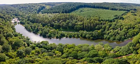 The Future of Cannop Ponds: Public Events