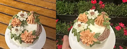 HTX Cake Decorating Experience: Fall Buttercream Florals