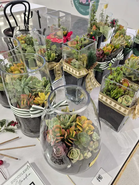 Night owl art - Glasshouse succulent workshop