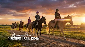 Premium Horseback Trail Ride