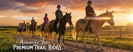 Premium Horseback Trail Ride