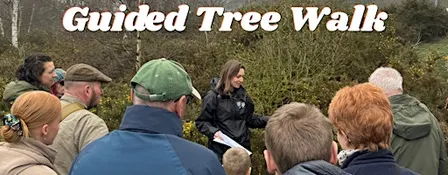 Guided Tree & Seed Walk at Sherwood Forest