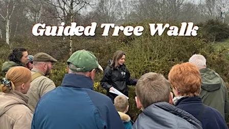 Guided Tree & Seed Walk at Sherwood Forest