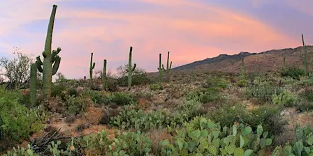 Master Your Camera Controls and Composition in the Field - Photo Workshops