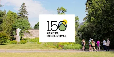 Une exploration de la valeur thérapeutique de la montagne