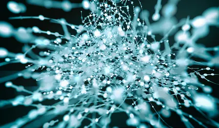 eQMA Fall 2026 Workshop: Harnessing Entanglement in Quantum Materials