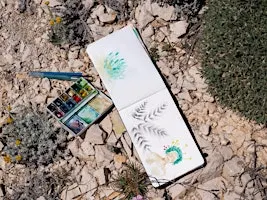 Atelier dessin sur l'astragale, plante emblématique des Calanques