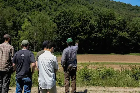 Tree ID and Natural History Tour of Ethan Allen Park