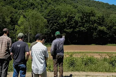 Tree ID and Natural History Tour of Ethan Allen Park