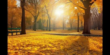 Fall Favorites