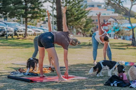 Paws and Poses Paradise Point